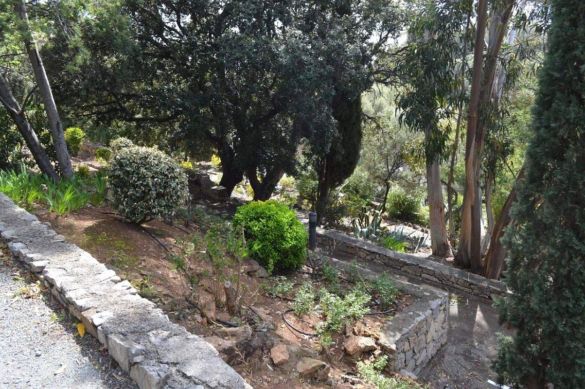 a066- Agay igesa.jpg